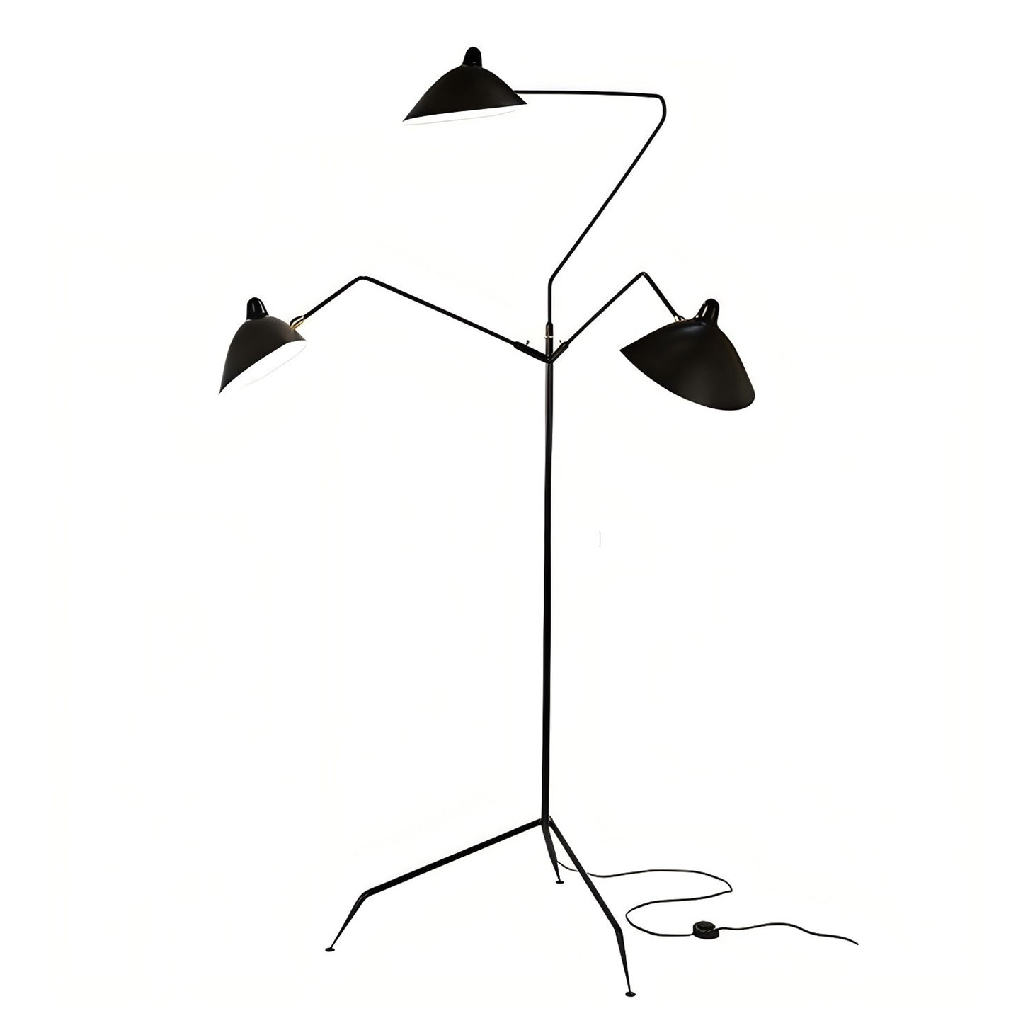 Claws Floor Lamp