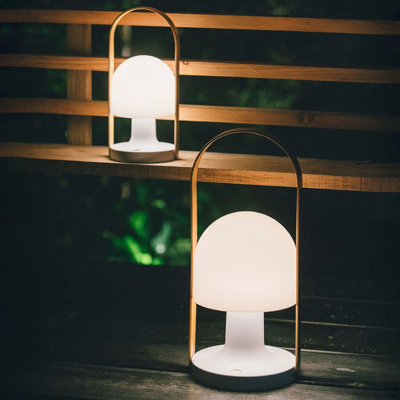 FollowMe Portable Table Lamp-new