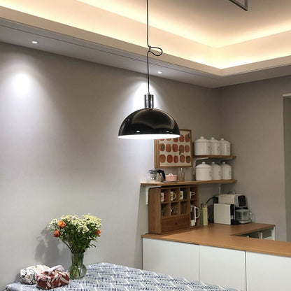 AS41Z Pendant Lamp