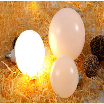 LED Light Bulb – Frosted Large Globe-old