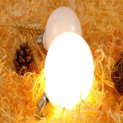 LED Light Bulb – Frosted Large Globe-old